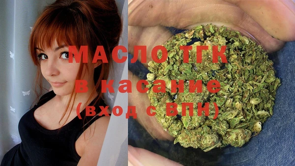 прущие грибы Гусев