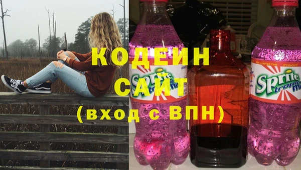 прущие грибы Гусев