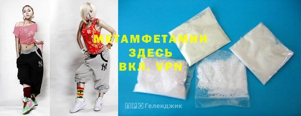 прущие грибы Гусев