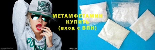 прущие грибы Гусев
