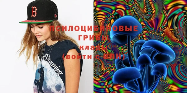прущие грибы Гусев