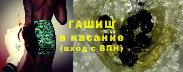 прущие грибы Гусев