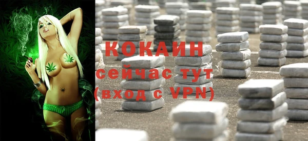 прущие грибы Гусев