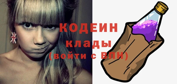 прущие грибы Гусев